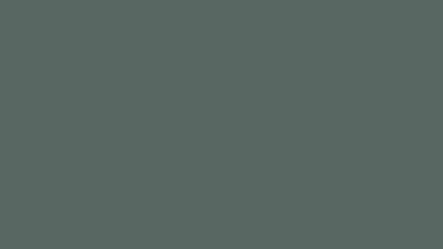 70869 Vallejo Model Color Paint: 17ml  Basalt Grey  (M162)