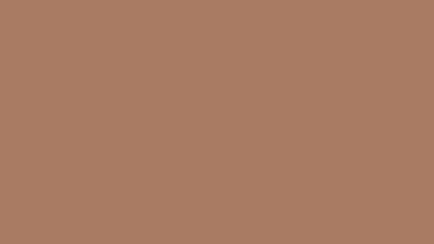 70876 Vallejo Model Color Paint: 17ml  Brown Sand  (M132)