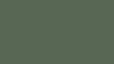 70893 Vallejo Model Color Paint: 17ml  USA Dark Green  (M095)