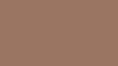 70874 Vallejo Model Color Paint: 17ml  Tan Earth  (M134)